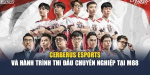 Cerberus Esports Và Hành Trình Thi Đấu Chuyên Nghiệp Tại M88